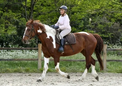 A 89 ans, Nicole remporte son premier concours hippique !