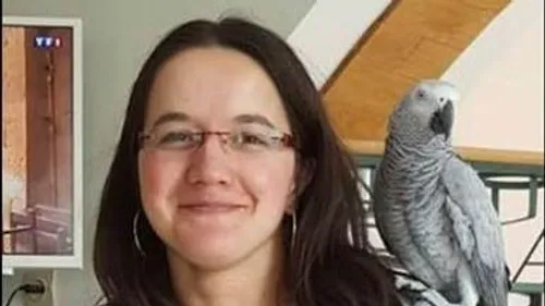 Alpes-de-Haute-Provence : appel à témoins après la disparition...