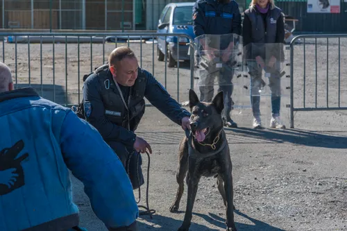 Le meilleur maître-chien du monde est un policier varois