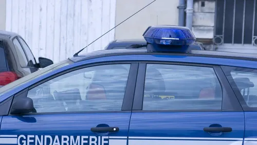 Un ado privé de sortie fait croire à son enlèvement pour rejoindre...