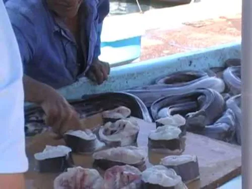 Marseille : pas de nom latin sur leurs étals, les poissonniers du...