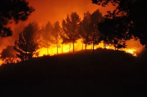 Six ans de prison ferme pour le pyromane de la Côte Bleue