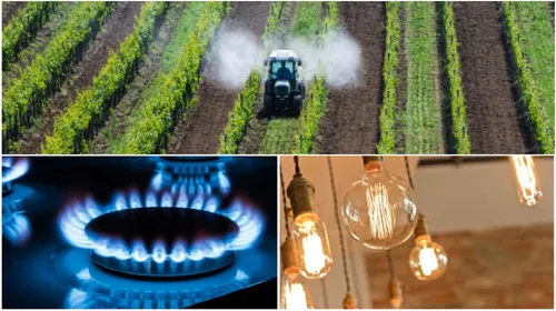 Tarifs du gaz, pesticides, ampoules halogènes ... Ce qui change au...
