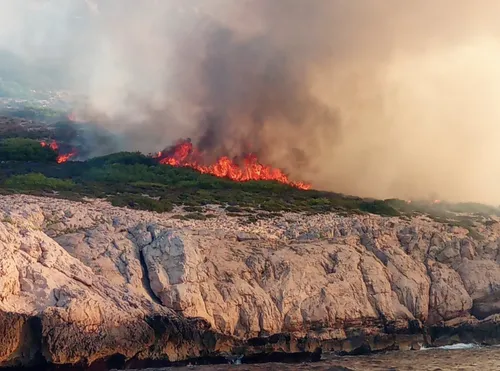 Marseille : un incendie détruit 3ha dans la Calanque de la Mounine