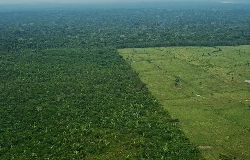 Déforestation au Brésil : l’équivalent d’un million de terrains de...