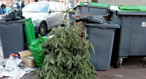 Aix-Marseille : ne jetez plus votre sapin à la poubelle !