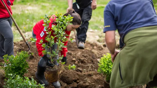 Allauch : venez prêter main forte pour le reboisement !