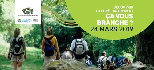 Ce dimanche c'est la journée internationale des forêts !