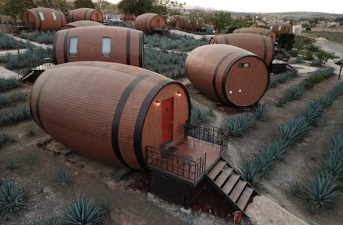 Dormir dans une barrique de tequila : le concept insolite d'un...