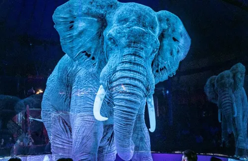 Un cirque allemand remplace ses bêtes par des hologrammes
