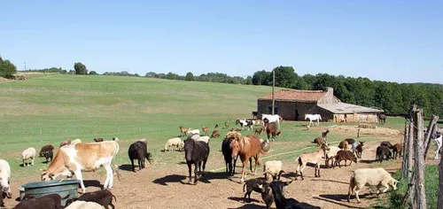Ce week-end, promenez de ferme en ferme !