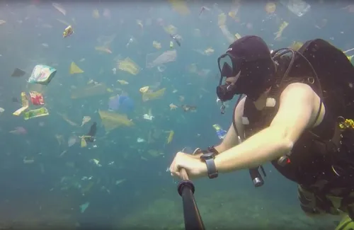 Marseille : une compétition de ramassage de déchets est lancée !