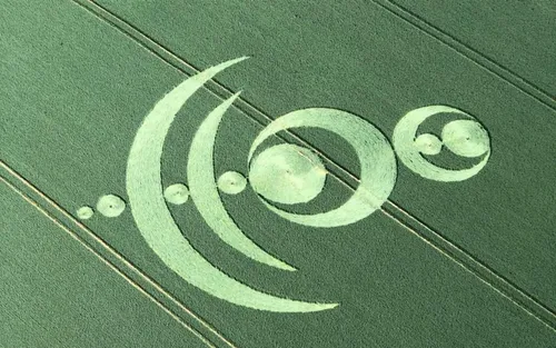 Un mystérieux dessin tracé dans un champ de céréales