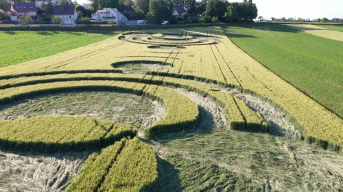 Crop circle : les extraterrestres étaient des collégiens