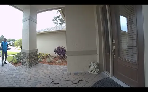 Le livreur Amazon est accueilli par...deux serpents