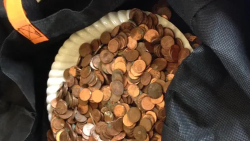 Une pie accusée d'avoir volé près de 1000 pièces au Château de...