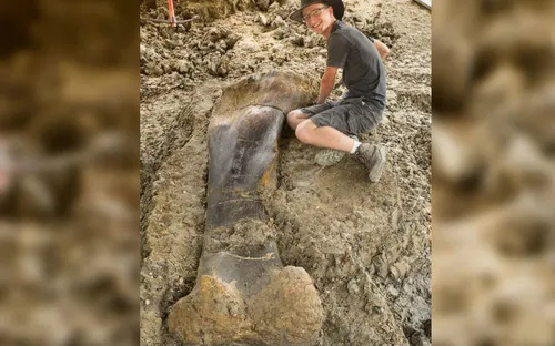 Un fémur de dinosaure géant découvert en Charente