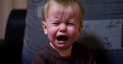 Japan Airlines crée un service pour éviter d’être à côté des bébés...