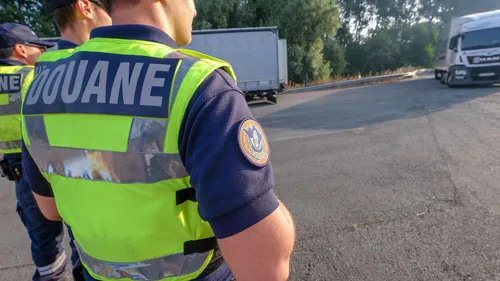 Les douaniers découvrent 43 chatons souffrant de maltraitances dans...