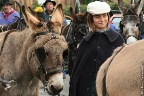 Ce dimanche, Allauch fête les ânes !