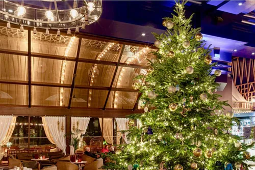 Un sapin de Noël à 13,5 millions de dollars en passe de devenir le...