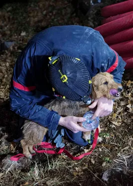 Java, bloquée une semaine dans une cavité, a été sauvée !