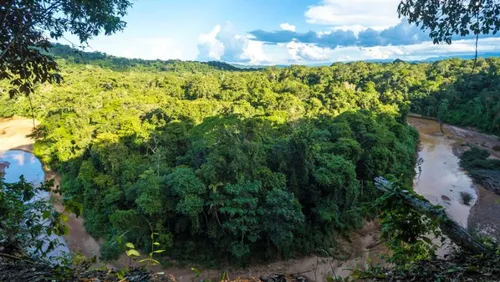 Amazonie : une mère et ses trois enfants ont survécu 34 jours dans...