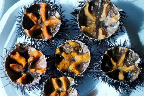 Fos : rendez-vous aux Oursinades !