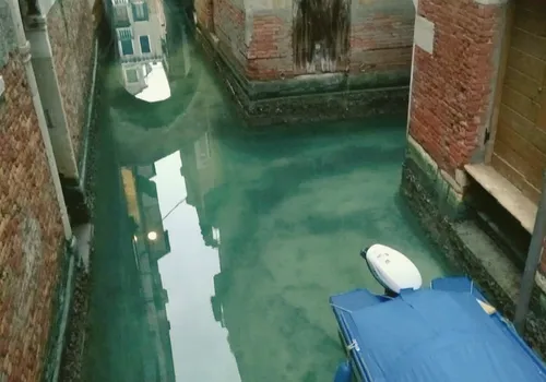 Confinement : à Venise, les eaux ont retrouvé leur clarté et les...