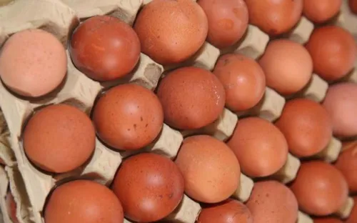 Salmonelles : rappel de plus de 500 000 œufs commercialisés en...