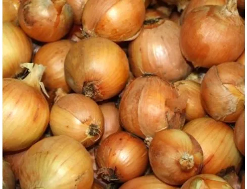 Une Chinoise envoie une tonne d'oignons à son ex pour... le faire...