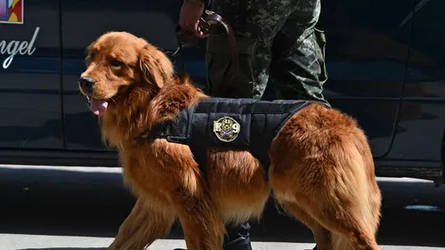 Des résultats "encourageants" pour le dépistage du coronavirus par...