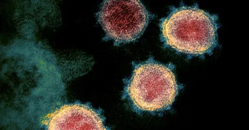 Le coronavirus "peut survivre 28 jours" sur des téléphones et des...