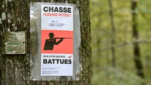 Enervé par une battue à proximité de son domicile, il tire sur le...