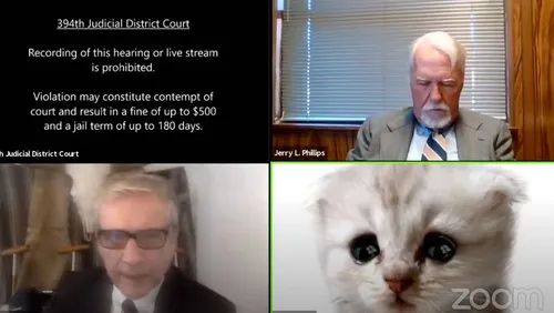 En visio pendant un procès, un avocat se retrouve avec un filtre de...