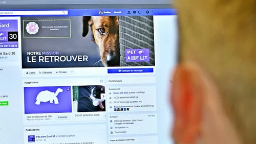 Pet Alert, le réseau de recherche de chiens et chats perdus, passe...