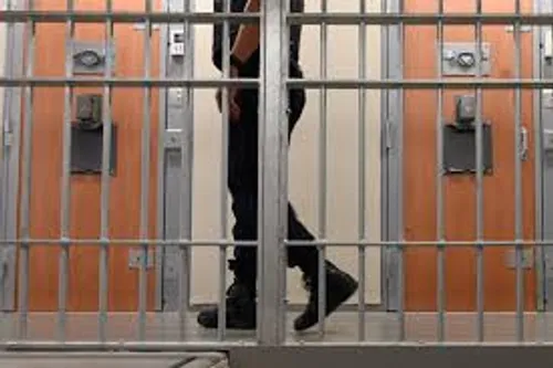 Marseille : un homme écroué pour avoir torturé son chien