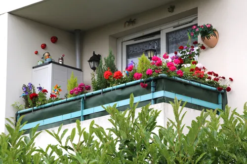 Marseille : lancement du concours des balcons fleuris !