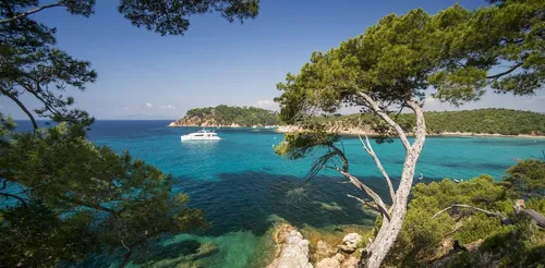 Un effondrement de la biodiversité en mer Méditerranée en 30 ans