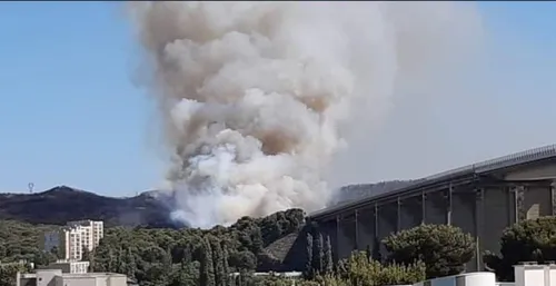 Martigues : incendie en bordure de l'A55