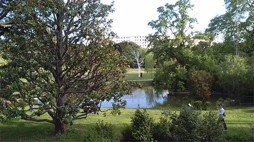 Marseille : "Rendez-vous du lac" ce soir dans le parc Maison Blanche