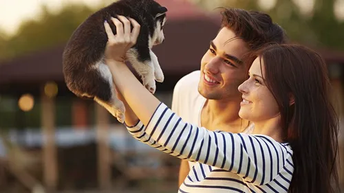 Casting : TF1 recherche des célibataires avec un chien pour trouver...