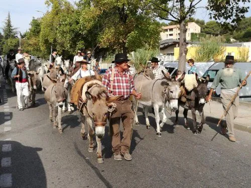 Martigues fête son terroir provençal ce week-end !