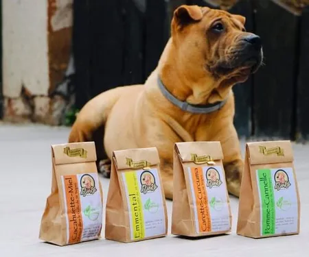 Saint-Tropez : des friandises pour toutous 100% maison !