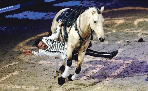 Avignon : c'est parti pour Cheval Passion !
