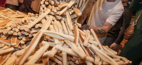 Marseille : les navettes à la fête demain pour la Chandeleur