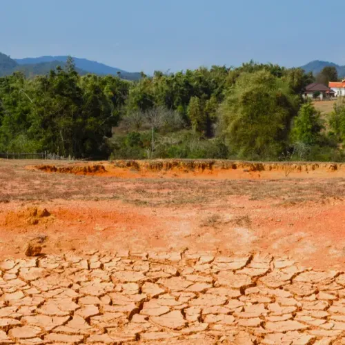 Un cours d'eau à sec